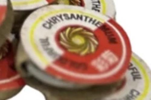 صحن دوار اصلي حببة طراطيع