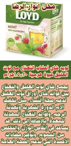 لويد شاي أعشاب النعناع مع توت العليق عبوة هرمية 20...