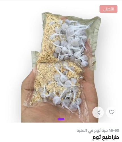 طراطيع ثوم للعيد كرتون ٥٠ علبة كل علبة فيها ٥٠ ثوم...