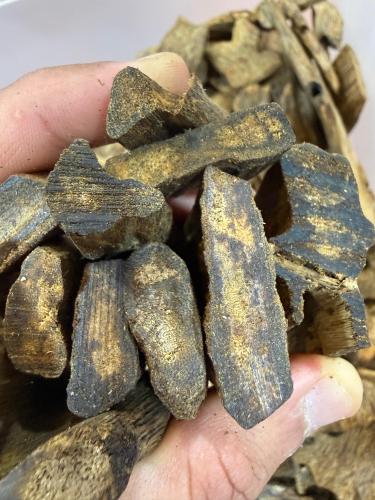 عود كينام ( صك )