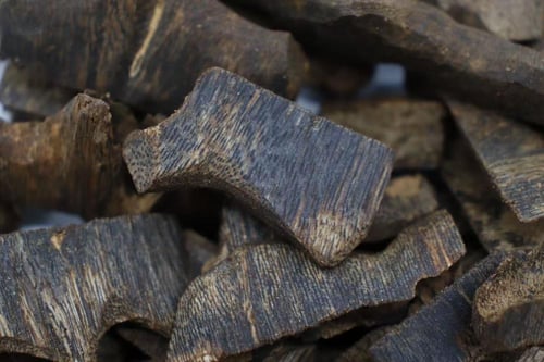 عود كينام (زوايا)