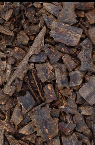 عود كينام ( دبل سوبر )