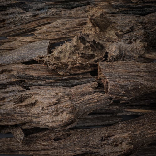 عود ماليزي تربل سوبر قديم((مقتنيات ))