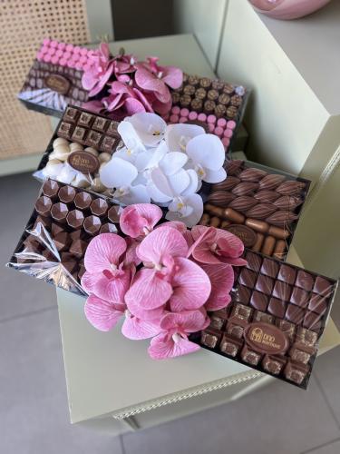 صينيه الاوركيد