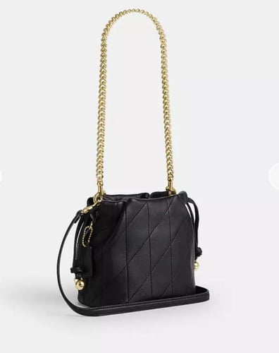 Coach - Faye Mini Drawstring Bag