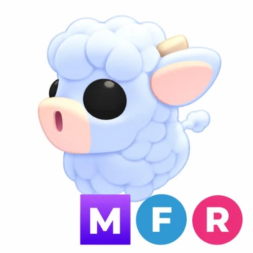 عجل الأنغوس ميقا - MFR Angus Calf