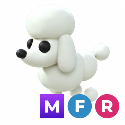 كلب بودل ميقا - MFR Poodle