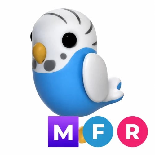 براكيت ميقا - MFR Parakeet