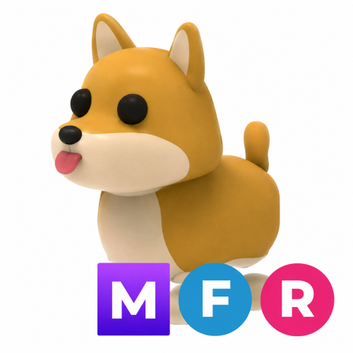 كلب شيبا ميقا - MFR Shiba Inu