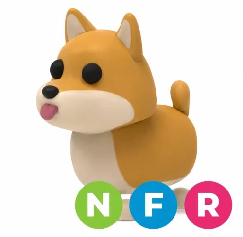 كلب شيبا نيون- NFR Shiba Inu