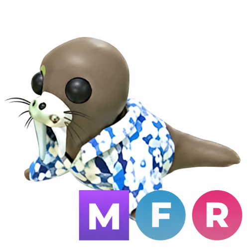 فقمة الصيف ميقا - MFR Summer Walrus