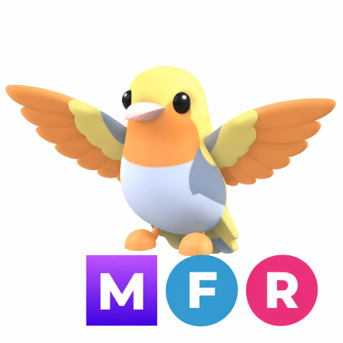 طائر الطنان الذهبي ميقا - MFR Golden Hummingbird