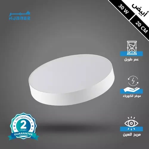 لطش ظاهر لون الانارة ابيض 30 واط 20 سم