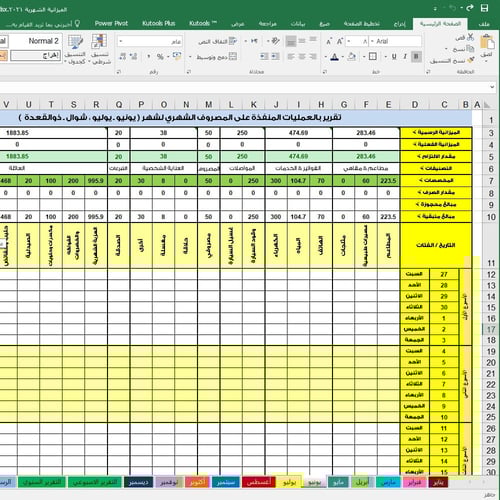 ملف إكسل إدارة المصروف الشهري
