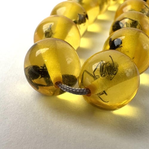 محشر برمادي - طربزونة وفواصل فضة