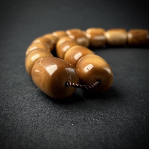 كوك فاخر - برميلي