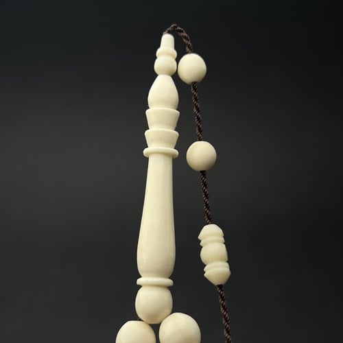 عظم جمل معالج - دائري