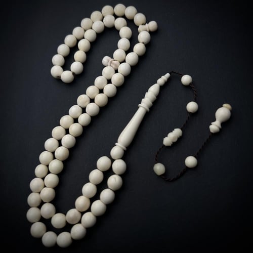 عظم جمل معالج - دائري