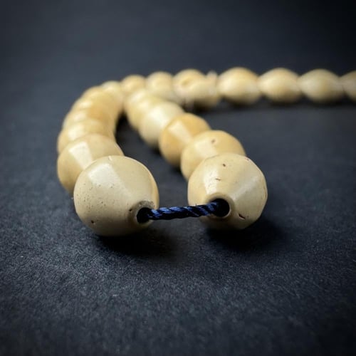 كوك فاتح - زيتوني