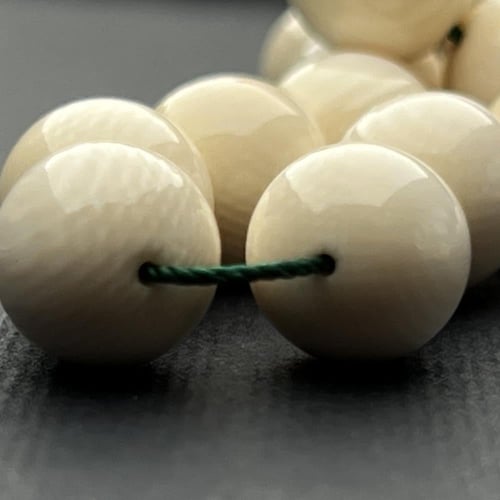 عاج ناب الفيل مدور