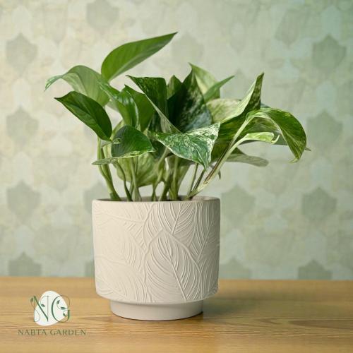 بوتس ماربل كوين في اصيص بيج بنقش ورق شجر