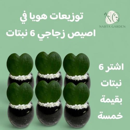 توزيعات قلب هويا في اصيص زجاجي