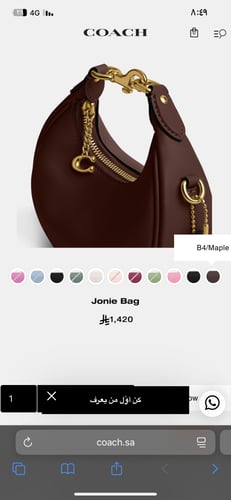 شنطة كوتش ميني