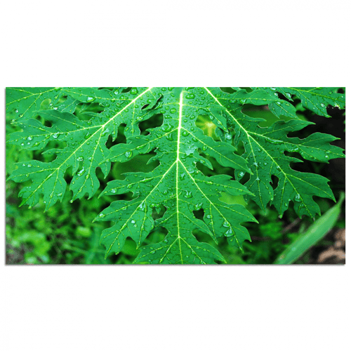 طقم 5 لوحات مقسمة #G5779