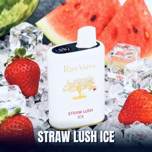 رايب فيب ايفوري 40000 50ن - RIPE VAPE IVORY 40K 50...
