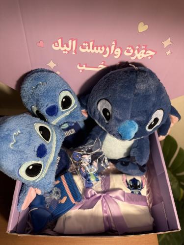 بوكس ستيتش ST3