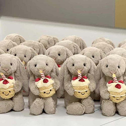 ارنوب كيكة الميلاد A728