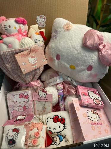 بوكس هيلوكيتي HT1