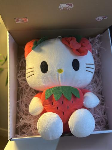 دمية هيلوكيتي 40 سم
