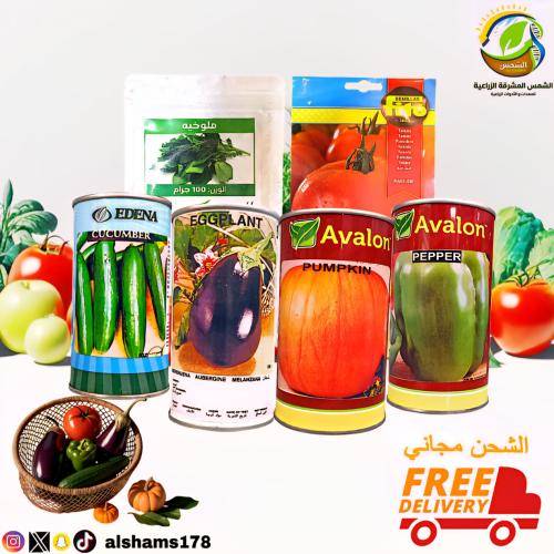 بكج الاستهلاك اليومي