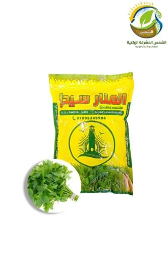 بذور بقدونس 1كغم المنار