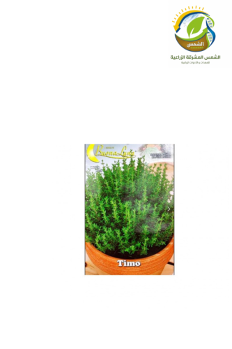 بذور زعتر بري