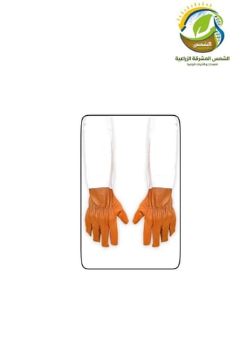 بكج النحالين