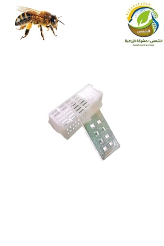 بكج النحالين