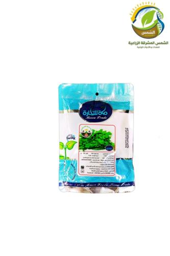 بذور كزبره مكة 100جرام