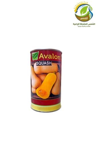 بذور قرع كوسة امريكي 50جرام