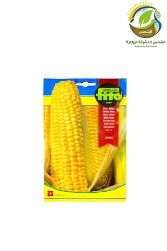 باكيت بذور ذرة حبش فيتو