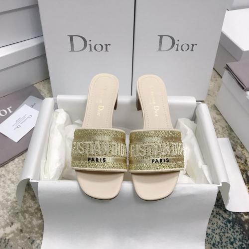 Christian Dior Canvas Slides