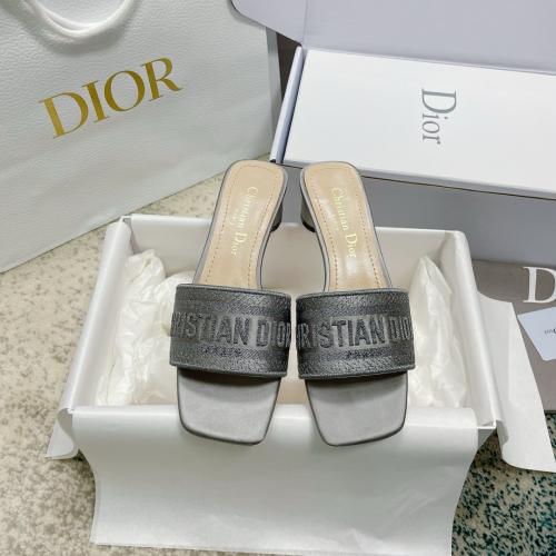 Christian Dior Canvas Slides