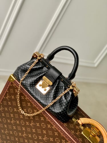 Louis Vuitton Monogram Cluth