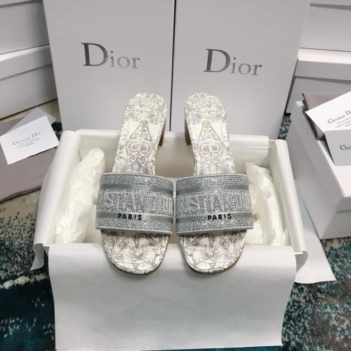 Christian Dior Canvas Slides
