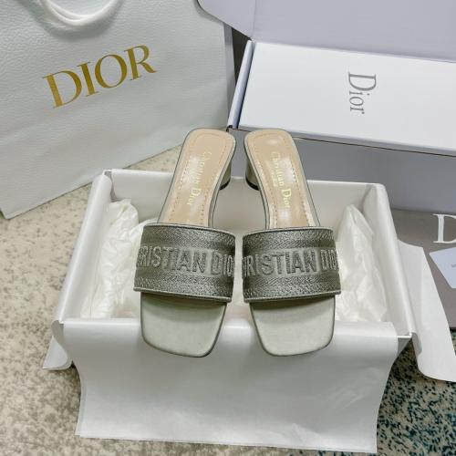 Christian Dior Canvas Slides