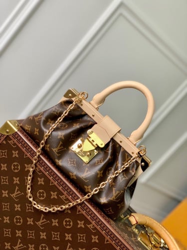 Louis Vuitton Monogram Cluth