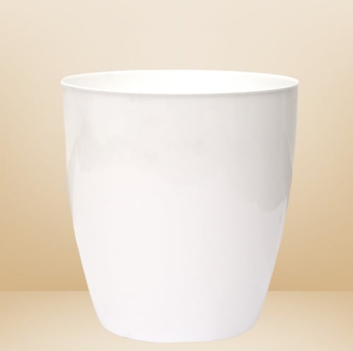 سجرة اليوكا