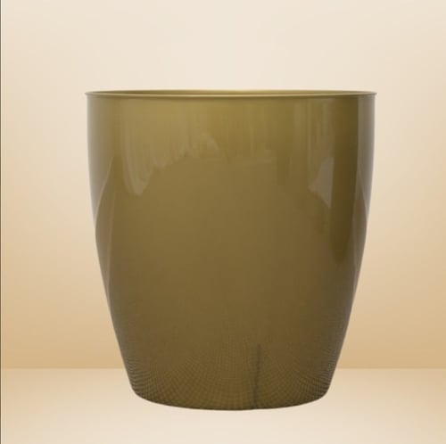 سجرة اليوكا