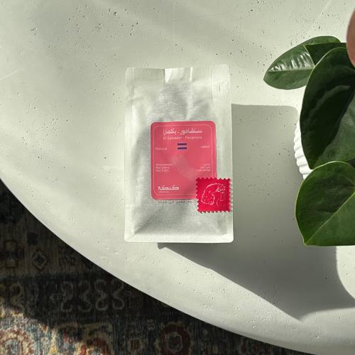 سلفادور - بكمارا